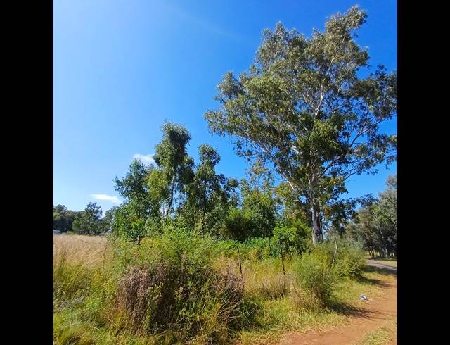 2.10HA SMALLHOLDING FOR SALE IN NELSONIA